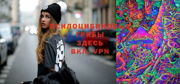 спайс Алзамай
