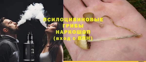 спайс Алексин