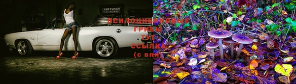 ECSTASY Абаза