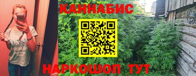 Альфа ПВП Нягань