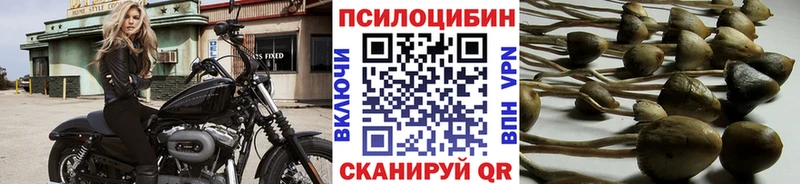 Галлюциногенные грибы Cubensis  Учалы 