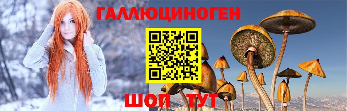 Псилоцибиновые грибы Cubensis  Вход с VPN  Учалы 